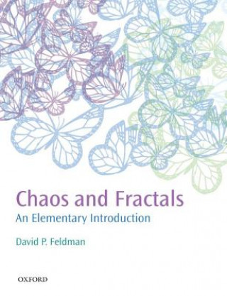 Könyv Chaos and Fractals David P. Feldman