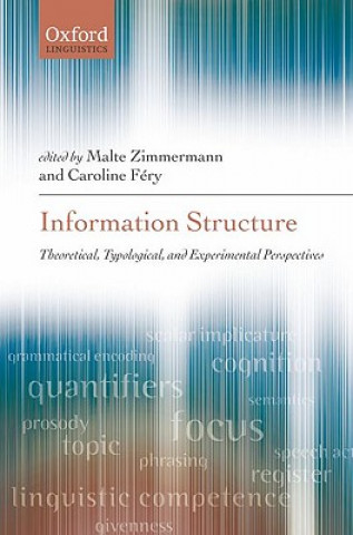 Knjiga Information Structure Malte Zimmermann