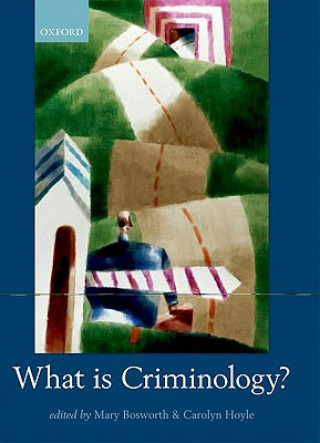 Kniha What is Criminology? Mary Bosworth