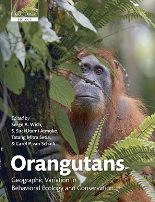 Carte Orangutans Serge A. Wich