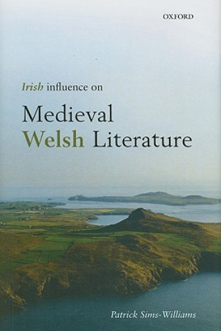 Kniha Irish Influence on Medieval Welsh Literature Patrick Sims-Williams