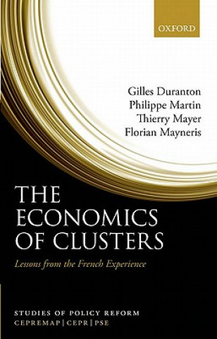 Книга Economics of Clusters Gilles Duranton