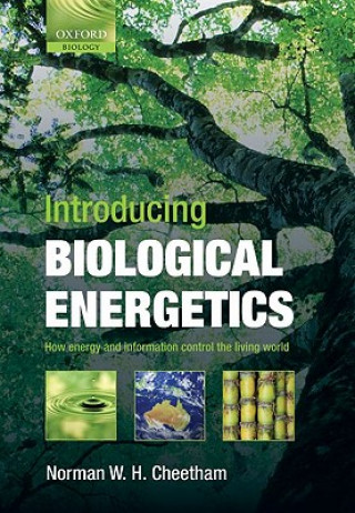 Kniha Introducing Biological Energetics Norman W.H. Cheetham