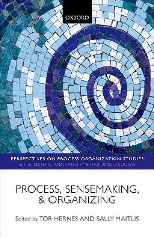 Książka Process, Sensemaking, and Organizing Tor Hernes