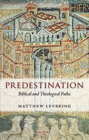 Kniha Predestination Matthew Levering