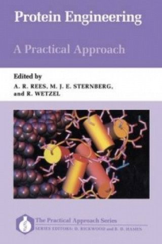 Książka Protein Engineering: A Practical Approach 