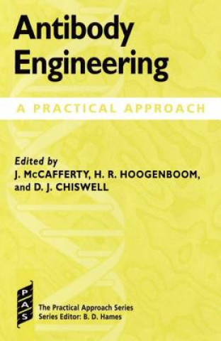 Kniha Antibody Engineering John McCafferty