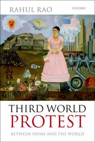 Book Third World Protest Rahul Rao