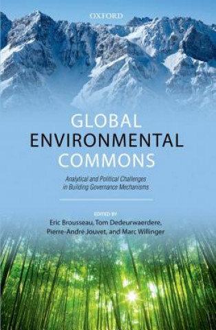 Livre Global Environmental Commons Eric Brousseau