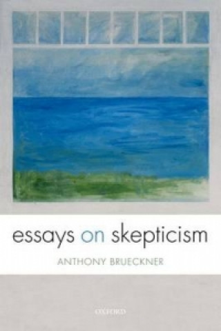 Könyv Essays on Skepticism Anthony Brueckner