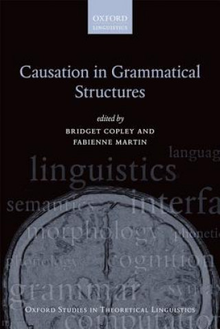 Könyv Causation in Grammatical Structures Bridget Copley