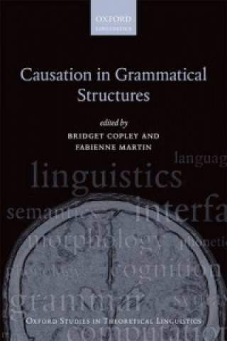 Könyv Causation in Grammatical Structures Bridget Copley