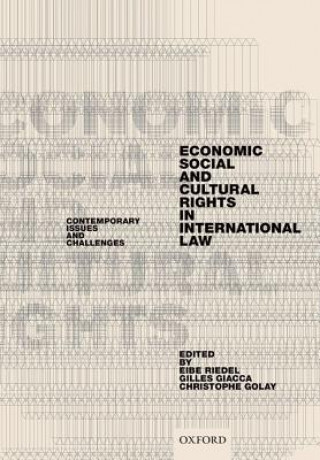 Buch Economic, Social, and Cultural Rights in International Law Eibe Riedel