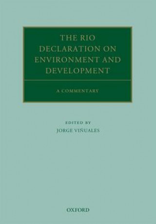 Carte Rio Declaration on Environment and Development Jorge Vi?uales