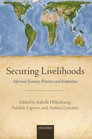 Knjiga Securing Livelihoods Isabelle Hillenkamp