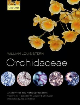 Kniha Anatomy of the Monocotyledons Volume X: Orchidaceae William Louis Stern