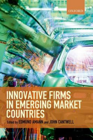 Kniha Innovative Firms in Emerging Market Countries Edmund Amann