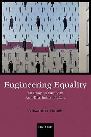 Livre Engineering Equality Alexander Somek