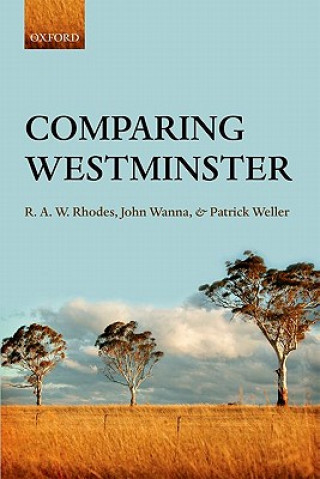 Könyv Comparing Westminster R. A. W. Rhodes