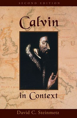 Kniha Calvin in Context David C. Steinmetz