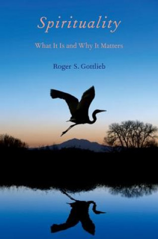 Kniha Spirituality Roger S. Gottlieb