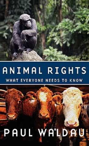 Kniha Animal Rights Paul Waldau