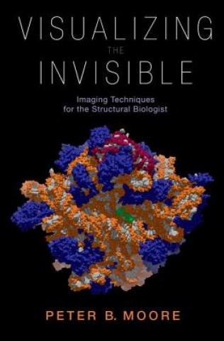 Knjiga Visualizing the Invisible Peter Moore