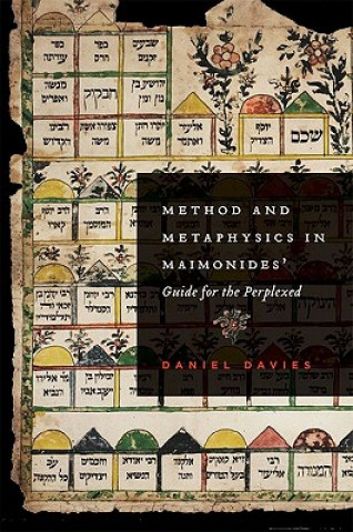 Könyv Method and Metaphysics in Maimonides' Guide for the Perplexed Daniel Davies