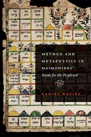 Książka Method and Metaphysics in Maimonides' Guide for the Perplexed Daniel Davies