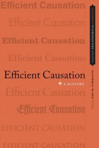 Knjiga Efficient Causation Tad M. Schmaltz