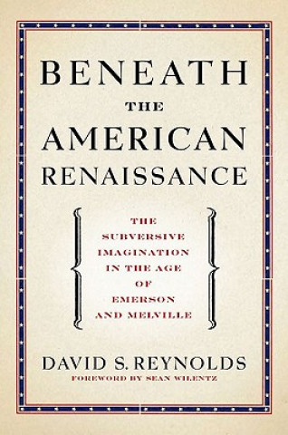 Książka Beneath the American Renaissance David S. Reynolds