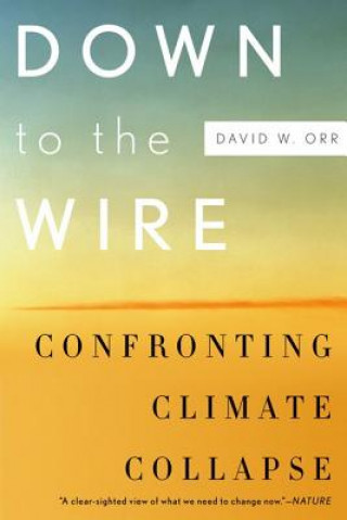 Книга Down to the Wire David W. Orr