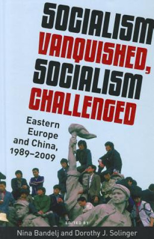 Kniha Socialism Vanquished, Socialism Challenged Nina Bandelj