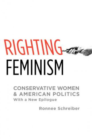 Boek Righting Feminism Ronnee Schreiber