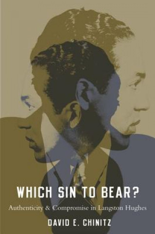 Kniha Which Sin to Bear? David E. Chinitz