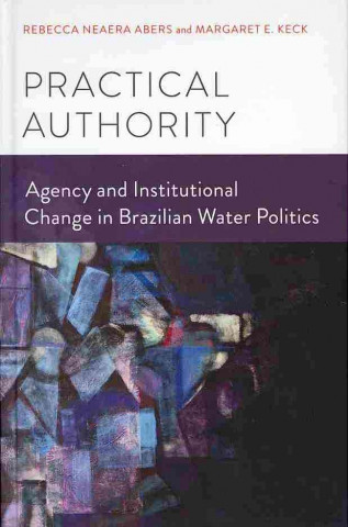 Kniha Practical Authority Rebecca Neaera Abers