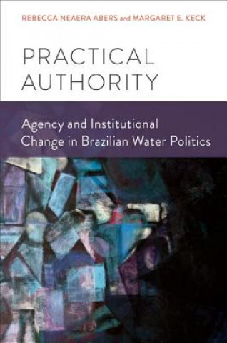 Livre Practical Authority Rebecca Neaera Abers