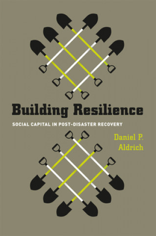 Kniha Building Resilience - Social Capital in Post-Disaster Recovery Daniel P. Aldrich