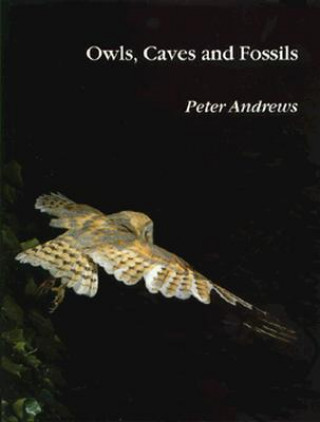 Buch Owls Caves & Fossils Andrews