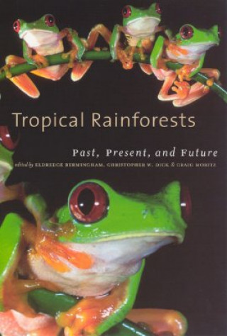 Buch Tropical Rainforests E. Bermingham