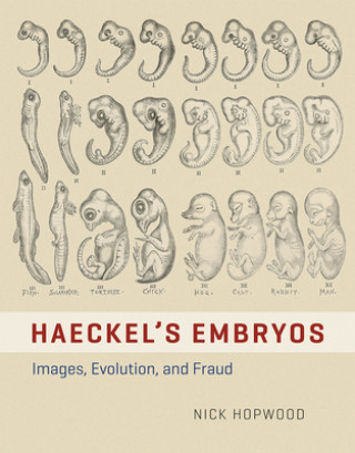 Carte HAECKEL'S EMBRYOS - IMAGES, EVOLUTION, AND FRAUD Nick Hopwood