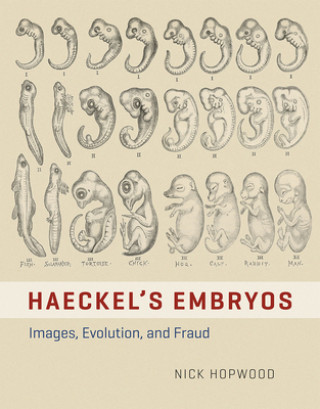 Könyv HAECKEL'S EMBRYOS - IMAGES, EVOLUTION, AND FRAUD Nick Hopwood