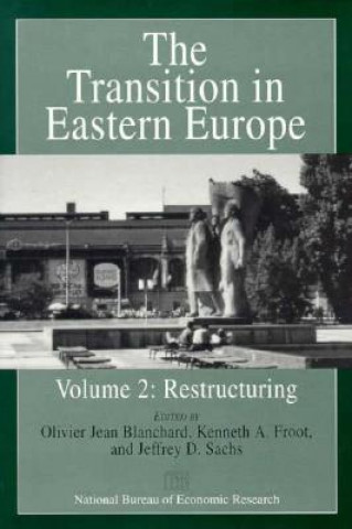 Könyv Transition in Eastern Europe Olivier Jean Blanchard