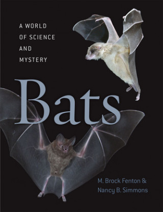 Kniha Bats Nancy B. Simmons
