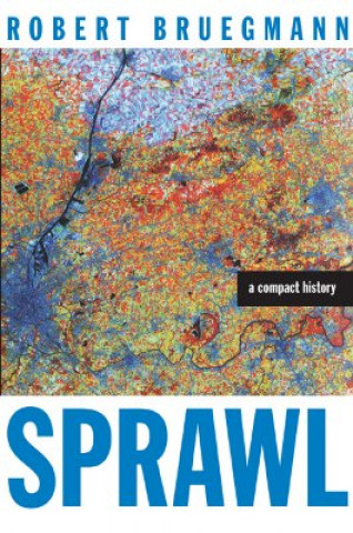 Buch Sprawl Robert Bruegmann