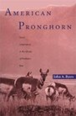Könyv American Pronghorn John Byers