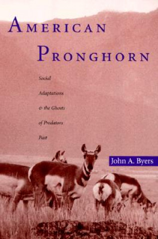 Libro American Pronghorn John Byers