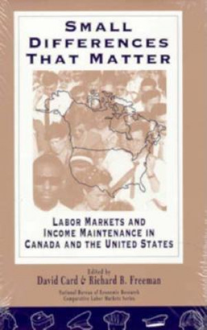 Knjiga Small Differences That Matter David Card