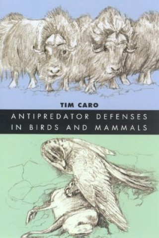 Książka Antipredator Defenses in Birds and Mammals Tim Caro