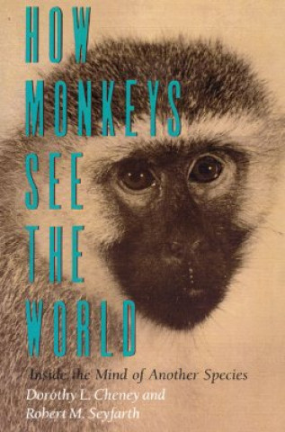 Książka How Monkeys See the World Dorothy L. Cheney